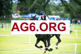 实时转播：奥格斯堡与霍芬海姆